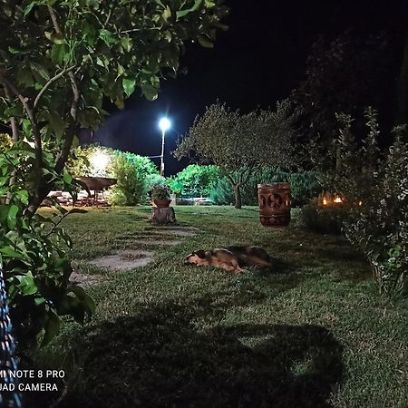 B&B Il Casone Di Drusa San Marco dei Cavoti Εξωτερικό φωτογραφία