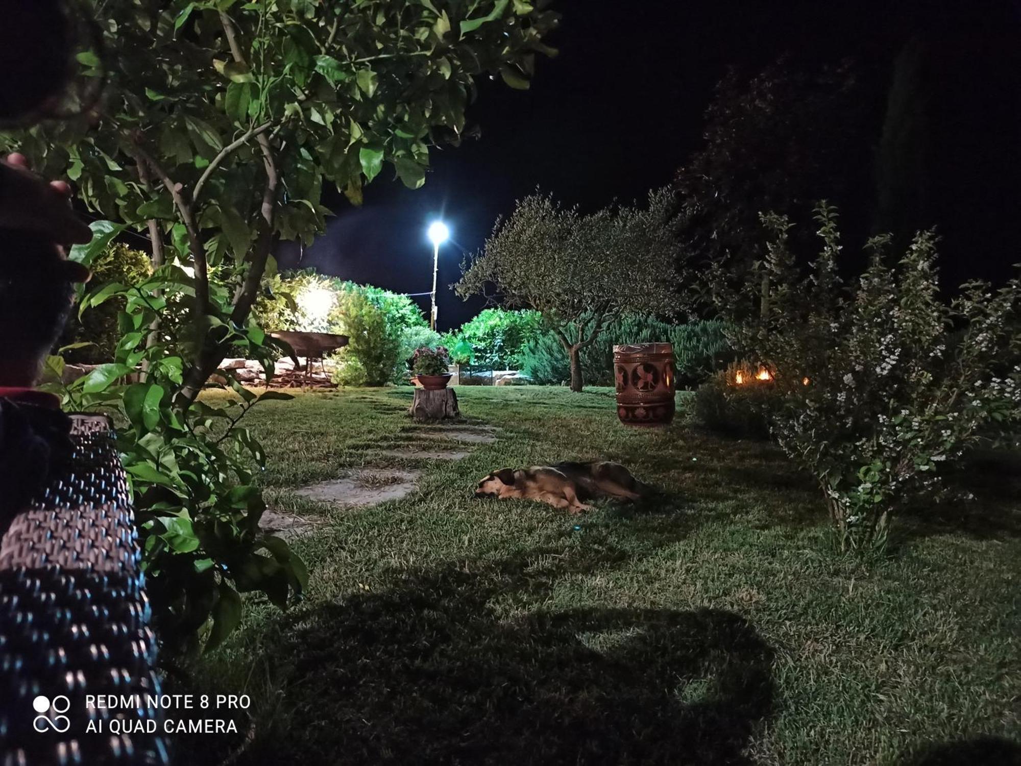 B&B Il Casone Di Drusa San Marco dei Cavoti Εξωτερικό φωτογραφία